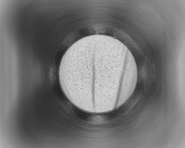 X0000100930218200807221144