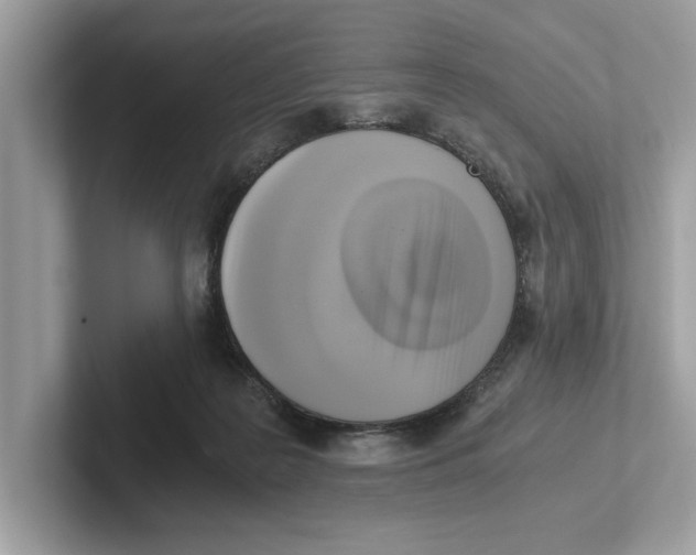 X0000100930219200807221144