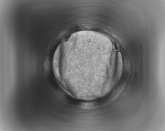 X0000100930220200807221144