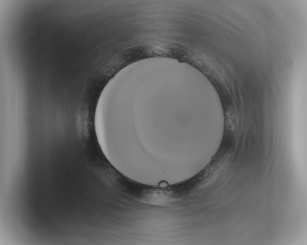 X0000100930223200807221144