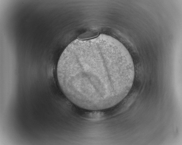 X0000100930225200807221143