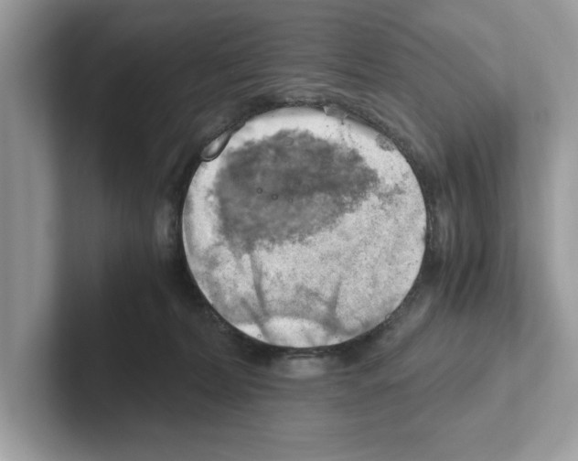 X0000100930228200807221143