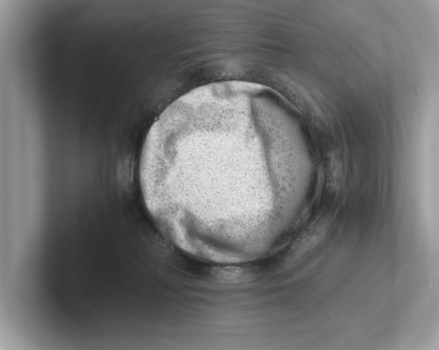 X0000100930230200807221143