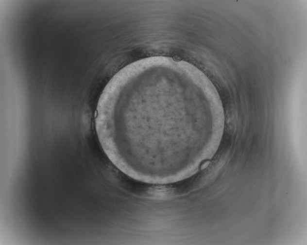 X0000100930231200807221143