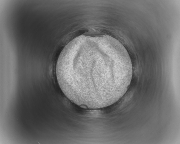 X0000100930233200807221143