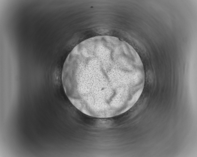 X0000100930234200807221143