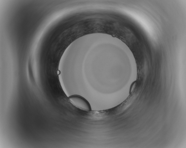 X0000100930239200807221143