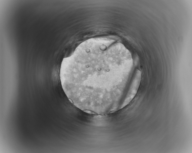 X0000100930240200807221143