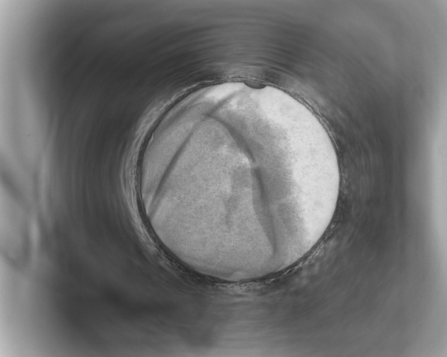 X0000100930241200807221143