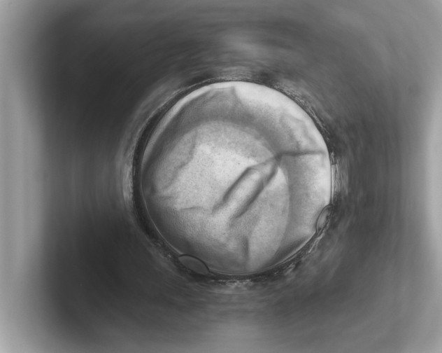 X0000100930243200807221143