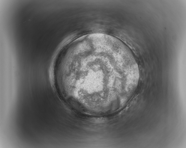 X0000100930245200807221143