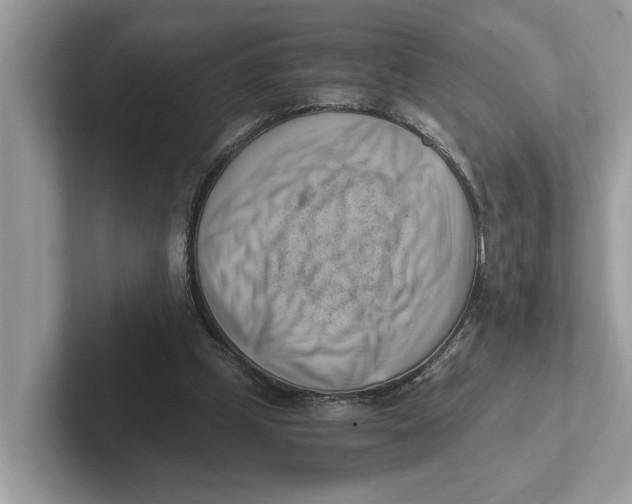 X0000100930249200807221143