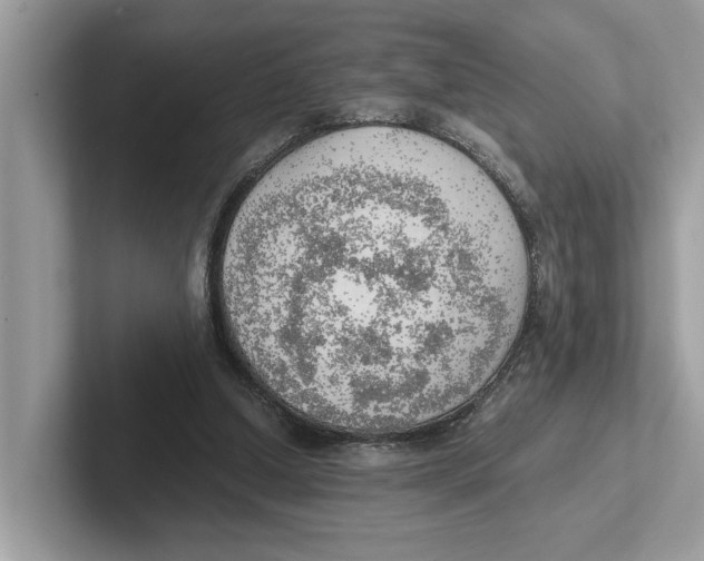 X0000100930250200807221143