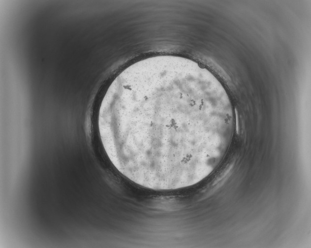 X0000100930252200807221143