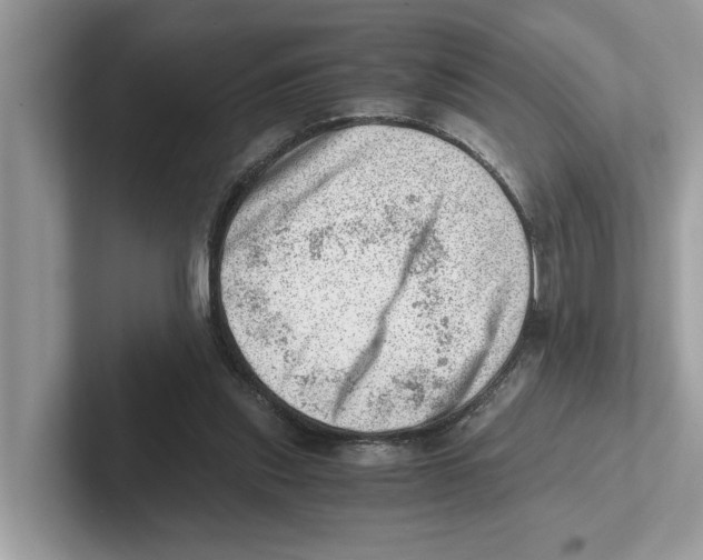 X0000100930253200807221143