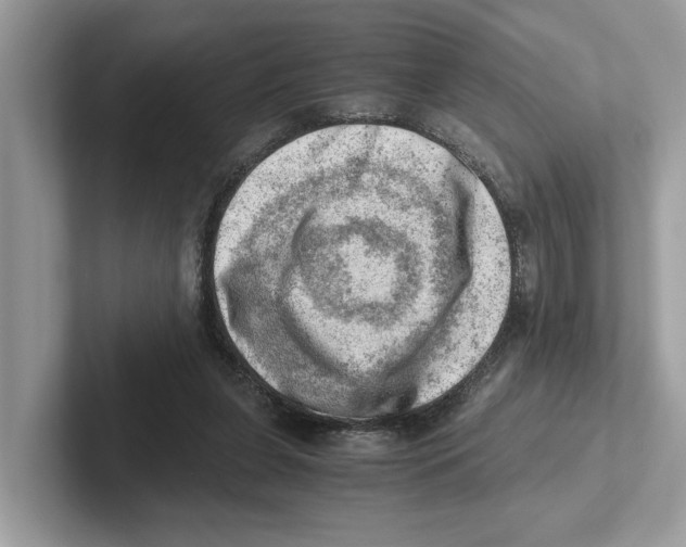 X0000100930255200807221143