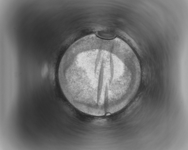 X0000100930257200807221143