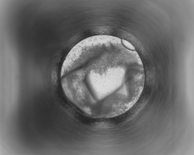 X0000100930259200807221143