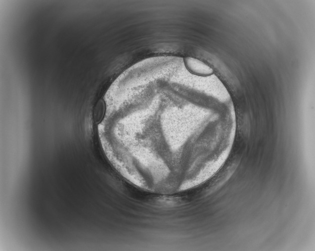 X0000100930261200807221143