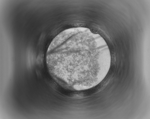 X0000100930263200807221143