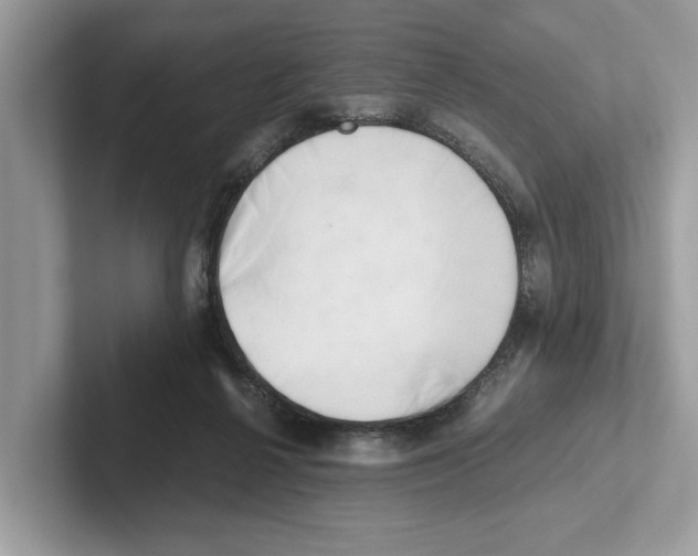 X0000100930264200807221143