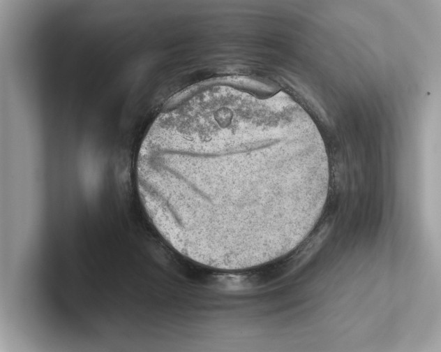 X0000100930265200807221143