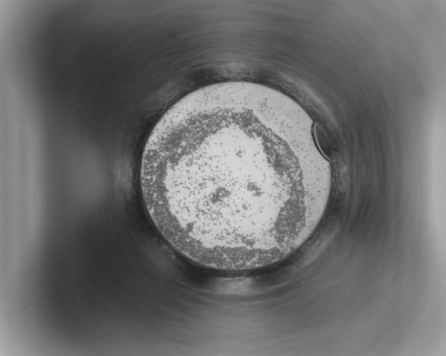 X0000100930266200807221143