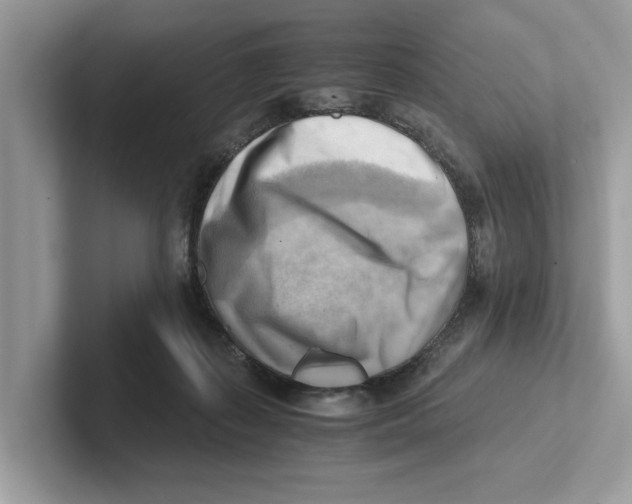 X0000100930267200807221143