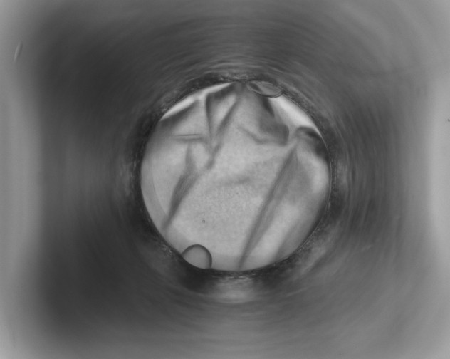 X0000100930271200807221143