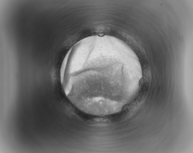 X0000100930272200807221143