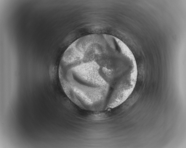 X0000100930278200807221143