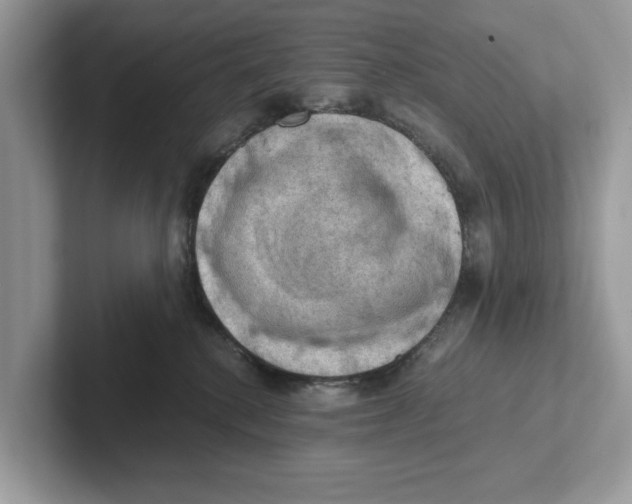 X0000100930280200807221143