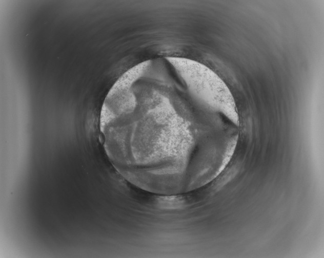 X0000100930281200807221143