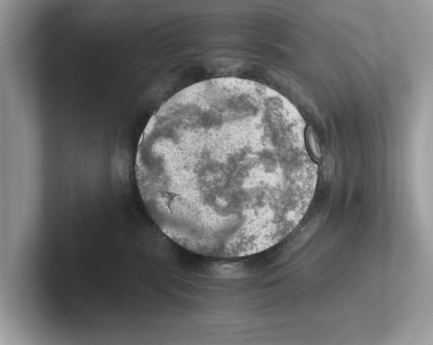 X0000100930283200807221143