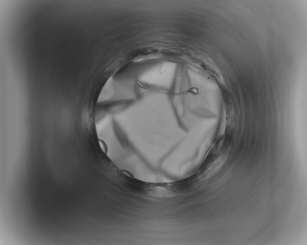 X0000100930285200807221143