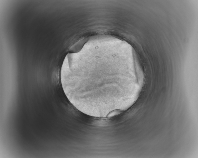 X0000100930288200807221143