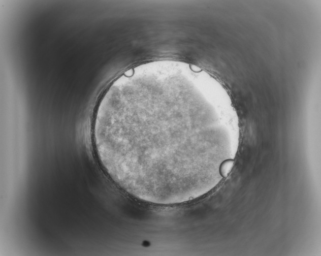 X0000100930293200807221143