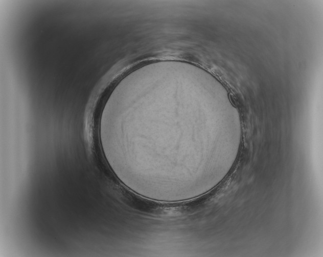 X0000100930295200807221143