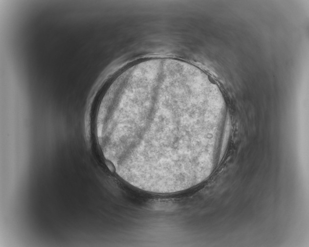 X0000100930296200807221143