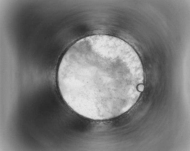 X0000100930297200807221143