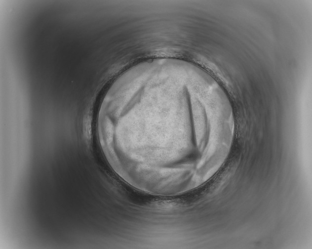 X0000100930299200807221143