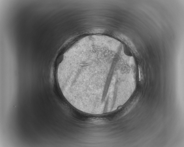 X0000100930300200807221143