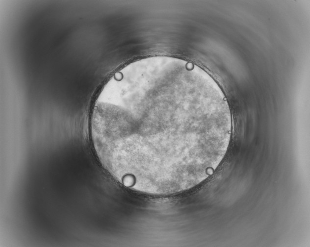 X0000100930301200807221143