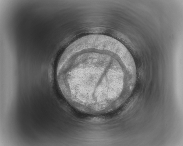 X0000100930303200807221142