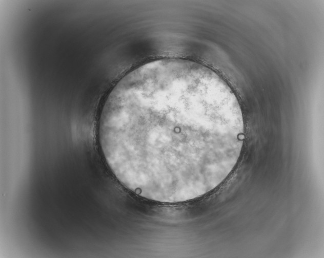 X0000100930305200807221142