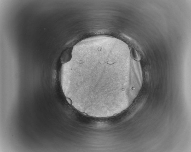 X0000100930308200807221142