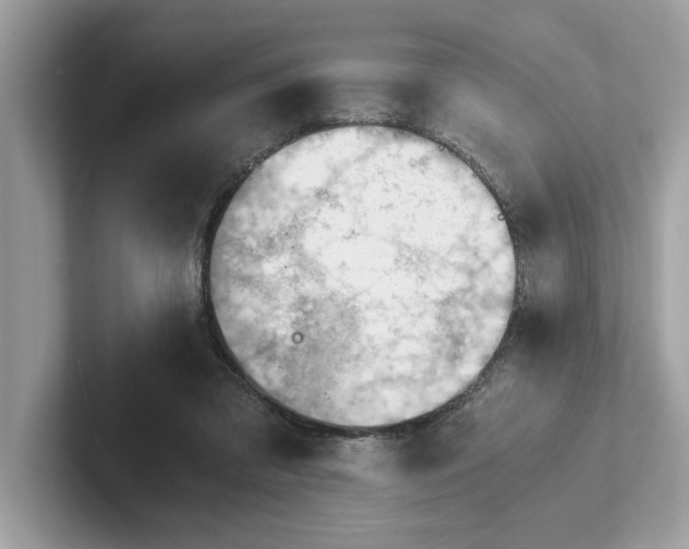 X0000100930309200807221142