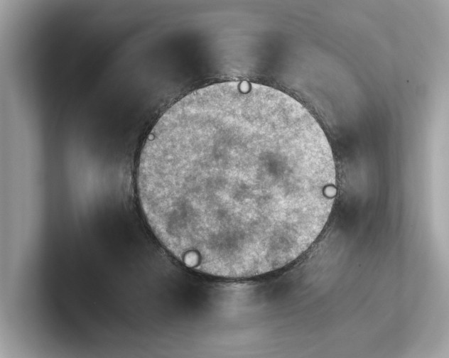 X0000100930313200807221142