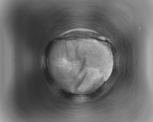 X0000100930316200807221142