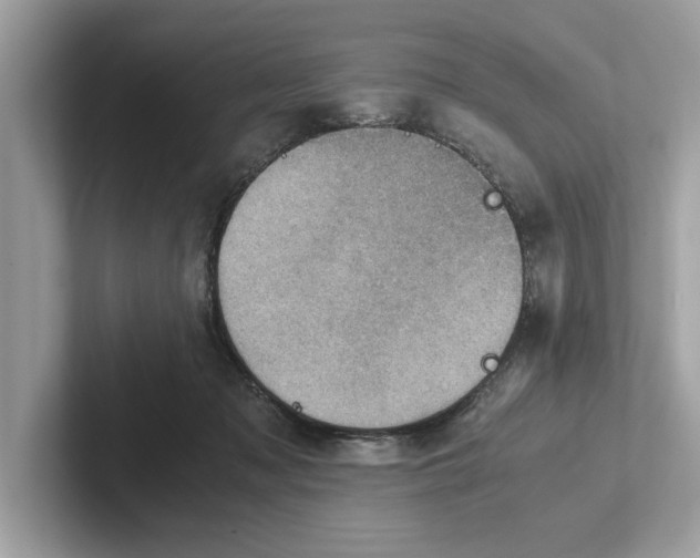 X0000100930317200807221142